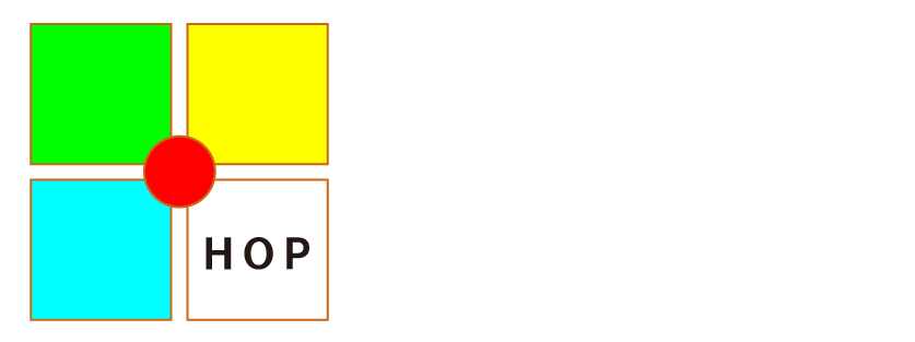 HAYASHI Original Profects